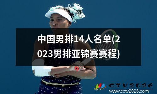 中国男排14人名单(2023男排亚锦赛赛程)