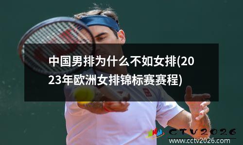 中国男排为什么不如女排(2023年欧洲女排锦标赛赛程)