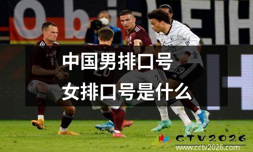 中国男排口号 女排口号是什么