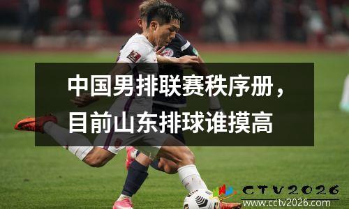 中国男排联赛秩序册，目前山东排球谁摸高