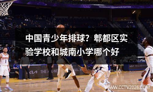 中国青少年排球？郫都区实验学校和城南小学哪个好