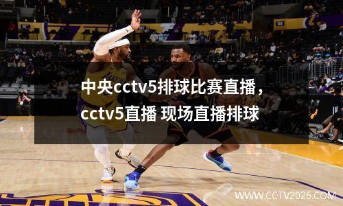 中央cctv5排球比赛直播，cctv5直播 现场直播排球