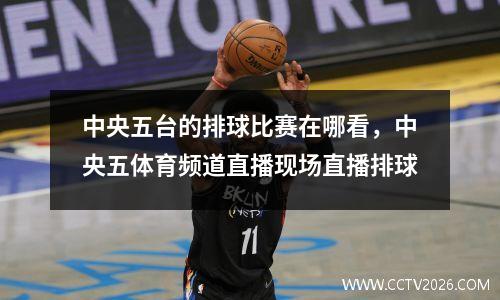 中央五台的排球比赛在哪看，中央五体育频道直播现场直播排球
