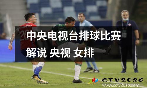 中央电视台排球比赛解说 央视 女排
