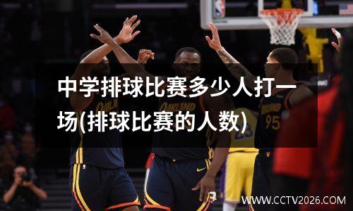 中学排球比赛多少人打一场(排球比赛的人数)
