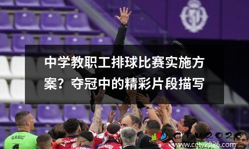 中学教职工排球比赛实施方案？夺冠中的精彩片段描写