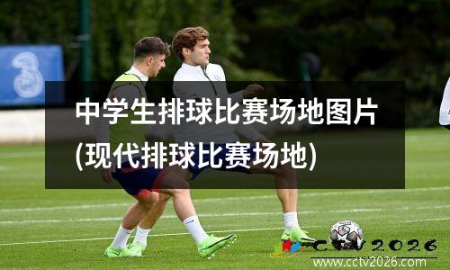 中学生排球比赛场地图片(现代排球比赛场地)