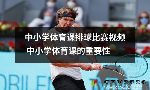 中小学体育课排球比赛视频 中小学体育课的重要性