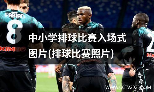 中小学排球比赛入场式图片(排球比赛照片)