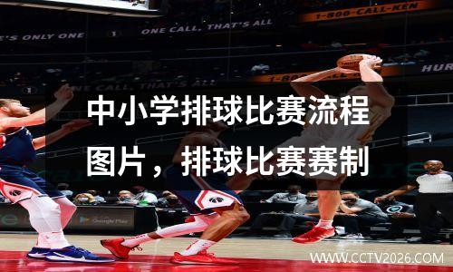 中小学排球比赛流程图片，排球比赛赛制