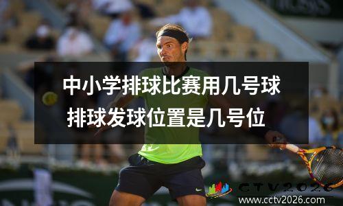 中小学排球比赛用几号球 排球发球位置是几号位