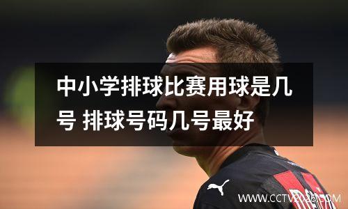 中小学排球比赛用球是几号 排球号码几号最好