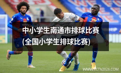 中小学生南通市排球比赛(全国小学生排球比赛)