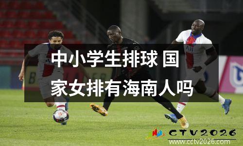 中小学生排球 国家女排有海南人吗
