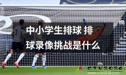 中小学生排球 排球录像挑战是什么