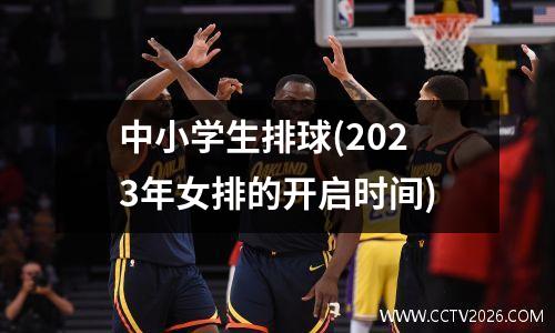 中小学生排球(2023年女排的开启时间)