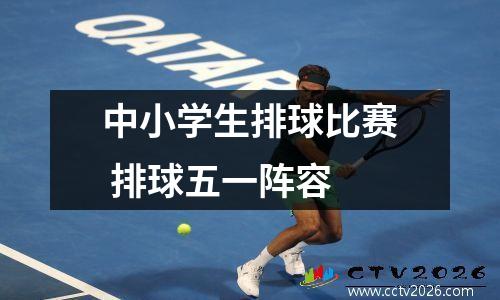 中小学生排球比赛 排球五一阵容