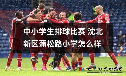 中小学生排球比赛 沈北新区蒲松路小学怎么样