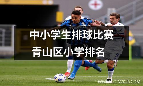 中小学生排球比赛 青山区小学排名