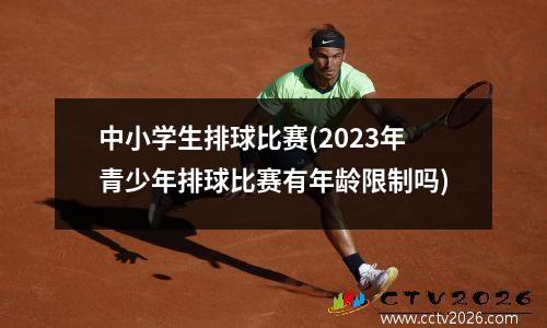 中小学生排球比赛(2023年青少年排球比赛有年龄限制吗)