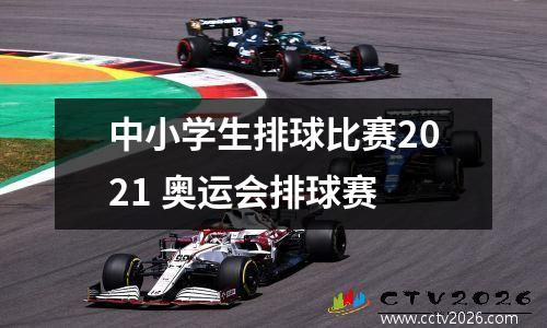 中小学生排球比赛2021 奥运会排球赛