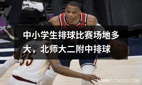 中小学生排球比赛场地多大，北师大二附中排球
