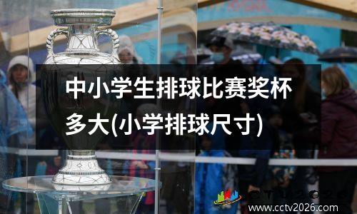 中小学生排球比赛奖杯多大(小学排球尺寸)