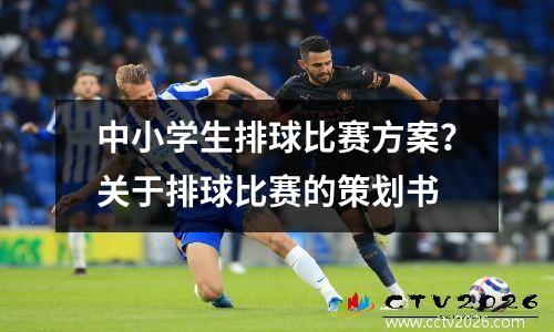 中小学生排球比赛方案？关于排球比赛的策划书
