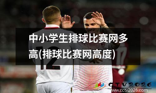 中小学生排球比赛网多高(排球比赛网高度)