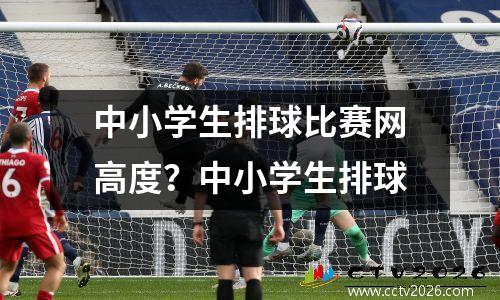 中小学生排球比赛网高度？中小学生排球