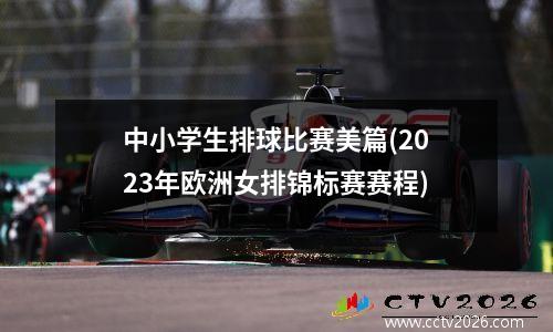 中小学生排球比赛美篇(2023年欧洲女排锦标赛赛程)