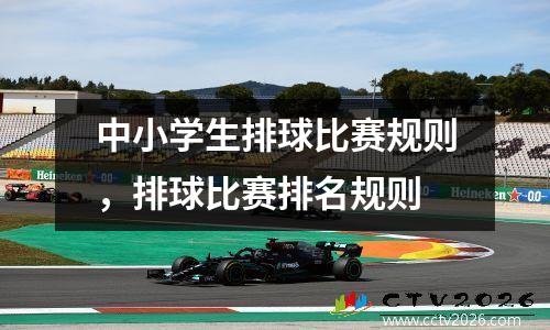 中小学生排球比赛规则，排球比赛排名规则