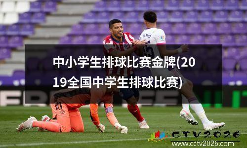 中小学生排球比赛金牌(2019全国中学生排球比赛)