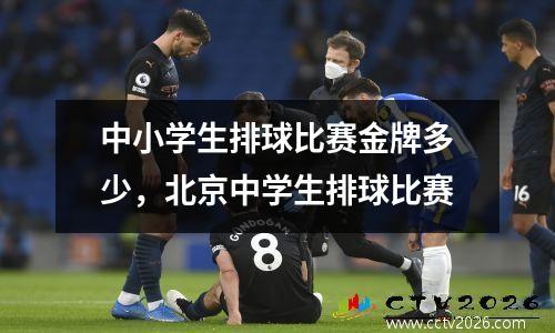 中小学生排球比赛金牌多少，北京中学生排球比赛