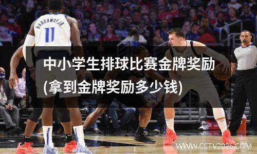中小学生排球比赛金牌奖励(拿到金牌奖励多少钱)
