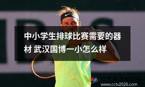 中小学生排球比赛需要的器材 武汉国博一小怎么样