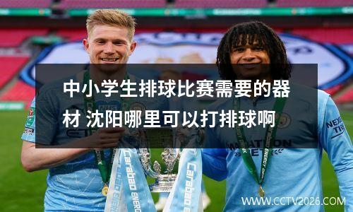 中小学生排球比赛需要的器材 沈阳哪里可以打排球啊