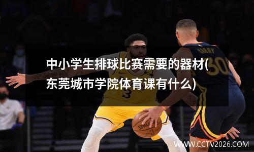 中小学生排球比赛需要的器材(东莞城市学院体育课有什么)