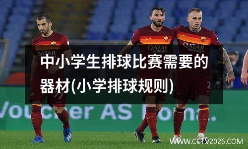 中小学生排球比赛需要的器材(小学排球规则)