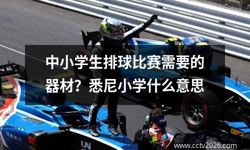中小学生排球比赛需要的器材？悉尼小学什么意思
