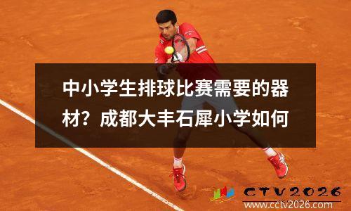 中小学生排球比赛需要的器材？成都大丰石犀小学如何