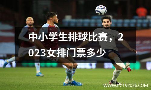 中小学生排球比赛，2023女排门票多少