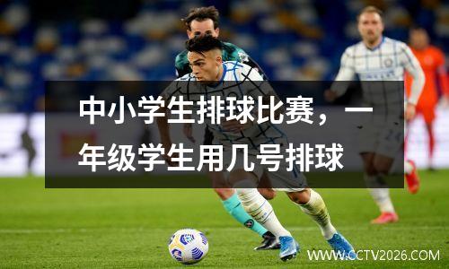 中小学生排球比赛，一年级学生用几号排球