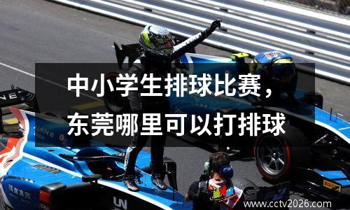 中小学生排球比赛，东莞哪里可以打排球