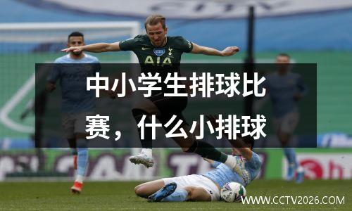 中小学生排球比赛，什么小排球