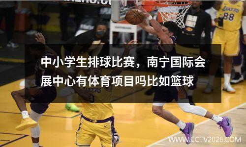 中小学生排球比赛，南宁国际会展中心有体育项目吗比如篮球