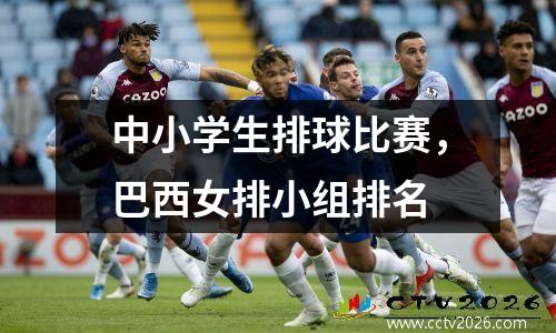 中小学生排球比赛，巴西女排小组排名