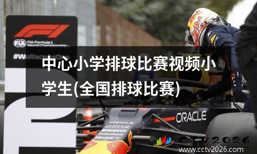 中心小学排球比赛视频小学生(全国排球比赛)
