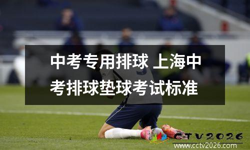 中考专用排球 上海中考排球垫球考试标准