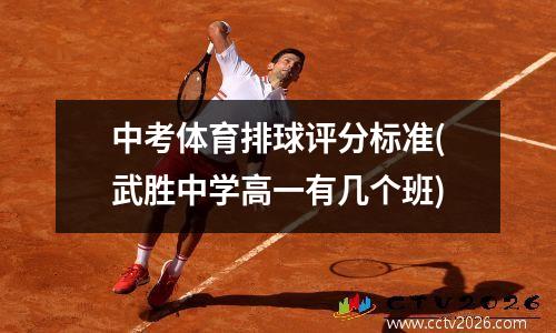 中考体育排球评分标准(武胜中学高一有几个班)